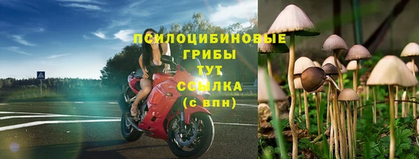 альфа пвп Баксан