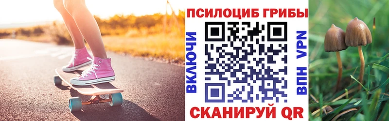 где продают   Ворсма  omg рабочий сайт  Галлюциногенные грибы Cubensis 