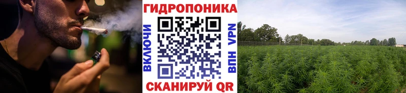 Бошки марихуана план  даркнет Telegram  Ворсма  где продают  